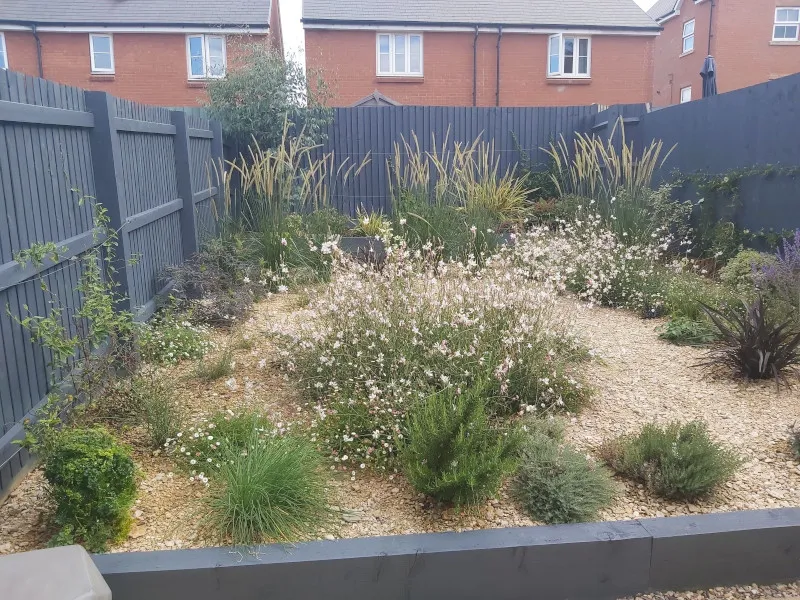 The new build garden, freshly planted