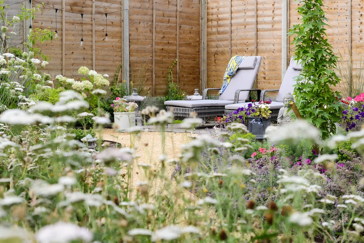 Two sun loungers in the distance, seen through tall wildflowers. Photo by Victoria Tapper