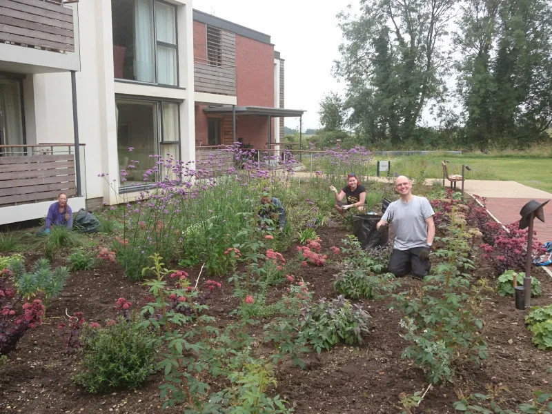 Charlotte's garden maintenance team at work planting in Wadswick Green